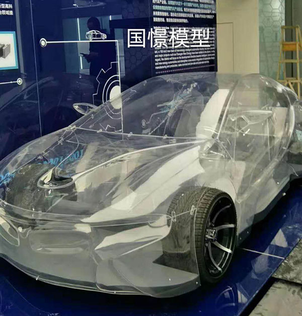 广宗县透明车模型